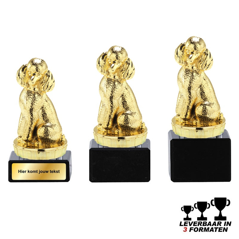 Gouden poedel trofee op zwarte marmeren voet – verkrijgbaar in 3 formaten – ideale poedelprijs of troostprijs