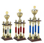 trofee-s914-goud-gouden-wisseltrofee